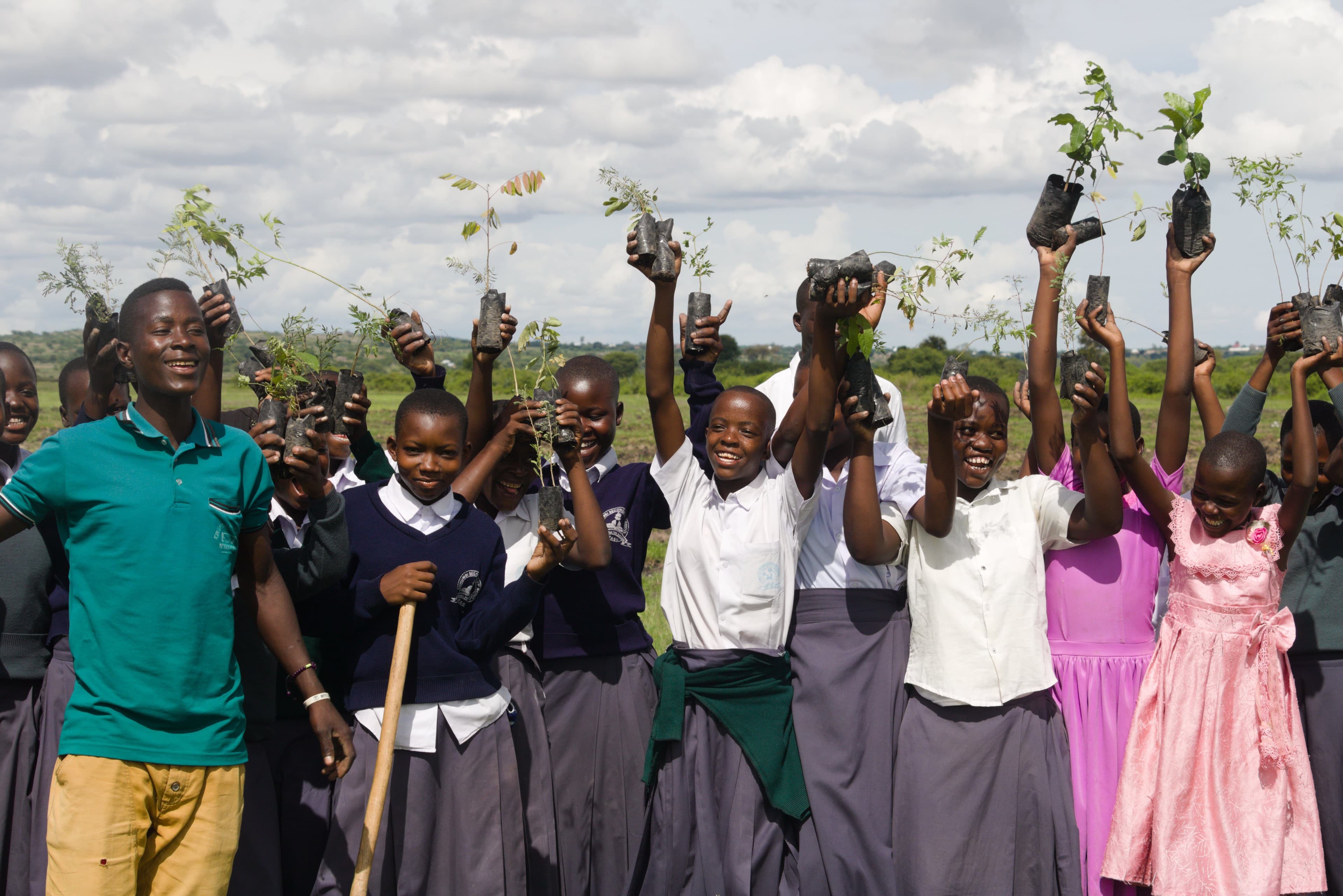 world-environment-day